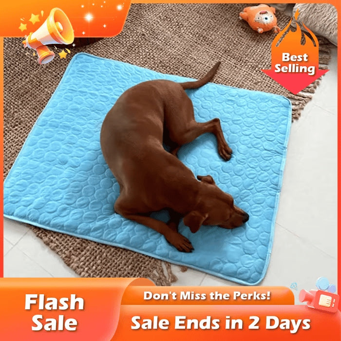 🔥LAST DAY 49% OFF🔥